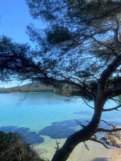 Ile De Porquerolles : T3 Climatise Vue Mer Luaran gambar